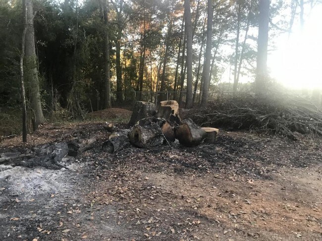 Foto del edificio - 133 Malcolm St,