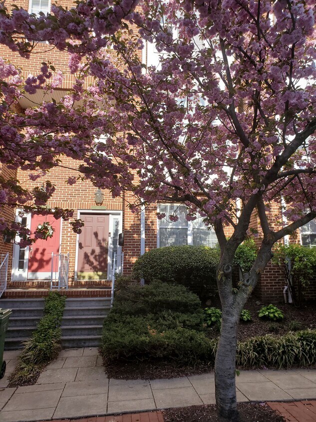 Front - 1211 S East Ave