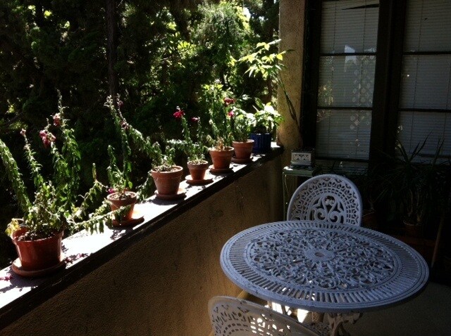 balcony - 12000 Lamanda St