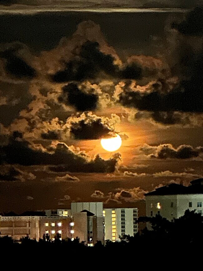 Foto del edificio - 99 SE Mizner Blvd