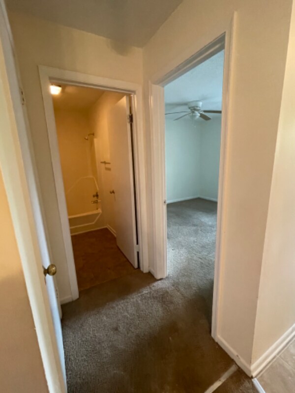 Foto del edificio - 2000 Swaim Ridge Ln