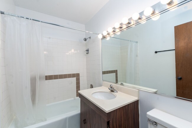 Building Photo - Video Tour Attached! Big Lincoln Park 1 Be...