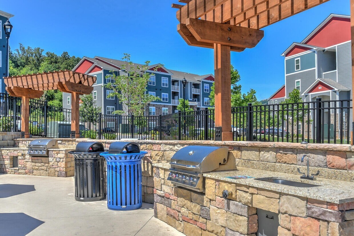 10 Newbridge Apartments Apartments in Asheville, NC