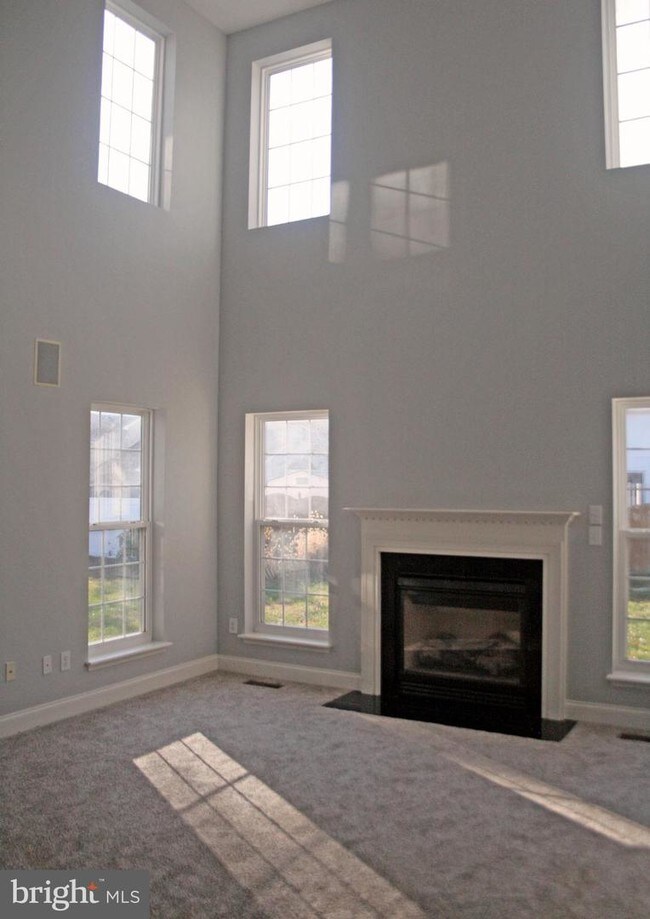 Foto del edificio - 24 Blue Spruce Dr