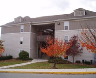 Building Photo - Collegiate Suites of Blacksburg