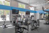 This fitness center is a comprehensively outfitted single-level space designed to support a wide range of workout routines. The room features soaring ceilings accented by a distinctive light blue horizontal stripe running along the upper walls, complemented by crisp white finishes that create a clean, energizing atmosphere. Multiple ceiling fans are suspended throughout, ensuring consistent airflow during workouts.

Natural light floods the space through large windows positioned along multiple walls, offering views of an outdoor pool area and surrounding greenery. Recessed lighting supplements the natural light, keeping the interior well-illuminated at all times. Wall-mounted flat-screen televisions are positioned strategically for visibility from various equipment stations.

The durable rubberized flooring provides both safety and comfort underfoot. The cardio section includes treadmills and elliptical machines, each equipped with individual interactive screens. Strength training is well-represented with a selection of selectorized machines targeting multiple muscle groups, along with a dedicated functional training station featuring TRX suspension systems, resistance bands, kettlebells of varying weights, and medicine balls. A spin bike and rowing machine round out the diverse equipment offerings. Full-length mirrors on one wall enhance the sense of space while allowing users to monitor their form during exercise.