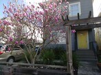Primary Photo - 5842 Occidental St
