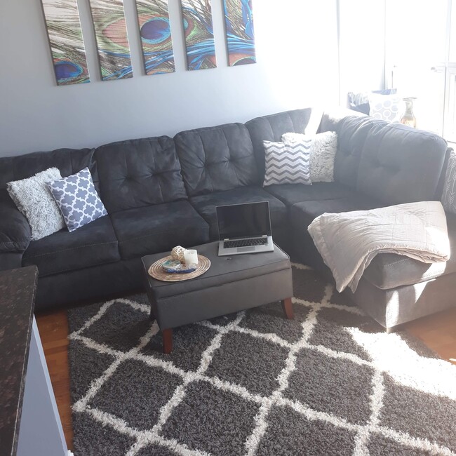 Furnished Living Area - 474 N Lake Shore Dr