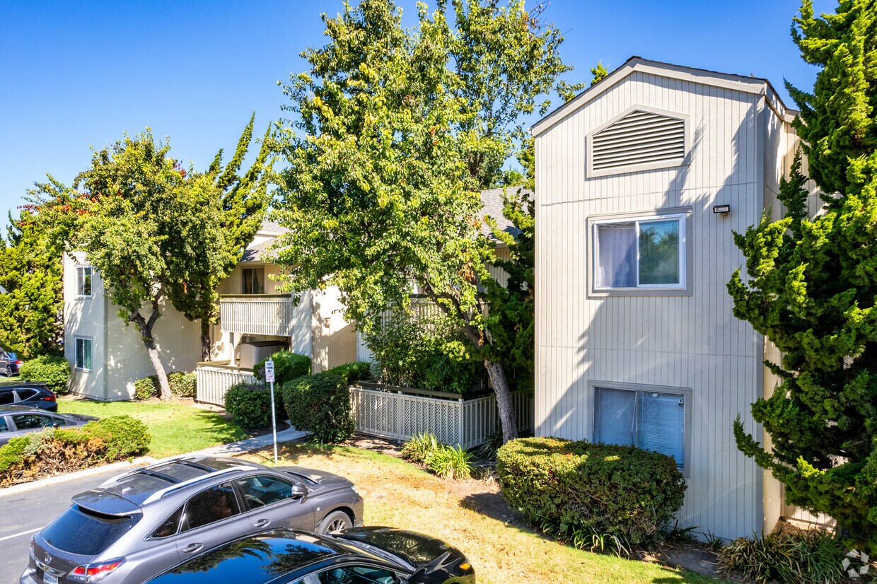 Fremont Central Park in Fremont - ZuzuForKids, image size:1240x826