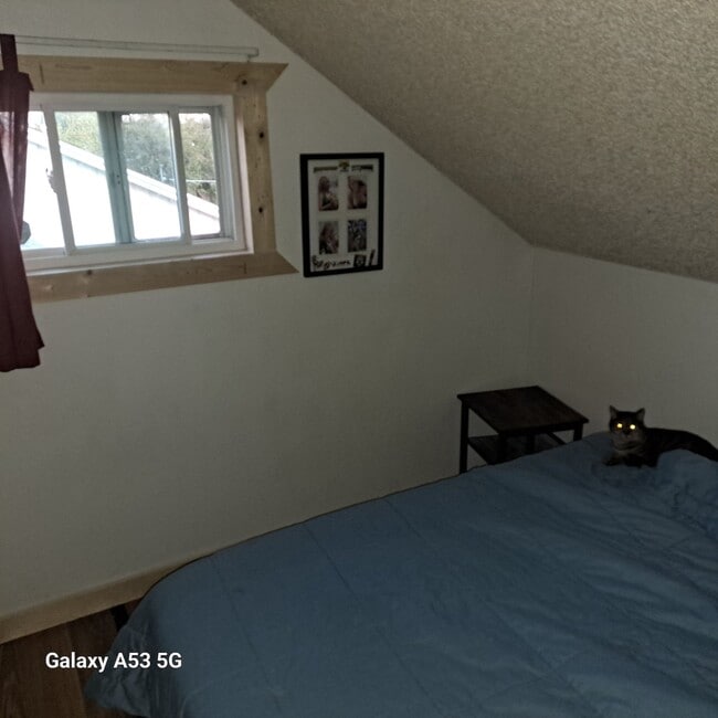 Building Photo - 230 Drake St