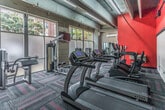 This fitness center in Memphis, Tennessee, offers a comprehensive workout environment designed for both cardio and strength training. The space is defined by its industrial-style architecture, featuring exposed concrete ceilings with visible ductwork and structural beams that lend a raw, urban character to the facility. Bold red accent walls create a high-energy atmosphere throughout, complementing the grey-and-red patterned carpet flooring that ties the space together visually.

Large floor-to-ceiling windows line the perimeter, flooding the facility with natural light and providing views of the surrounding greenery. The cardio section is outfitted with a row of True-brand treadmills, elliptical trainers, and a recumbent bike, all positioned for comfortable use with wall-mounted televisions nearby for entertainment. The strength training area includes a True cable machine, a multi-functional weight station, a free weight rack with dumbbells, and a flat utility bench for versatile exercise options.

Full-length mirrors are strategically placed to assist with form during workouts. A water fountain is conveniently mounted along the red accent wall, and hand sanitizer dispensers are accessible throughout. The facility is climate-controlled with a wall-mounted mini-split unit, ensuring a comfortable environment year-round. Overall, the fitness center delivers a functional, modern, and motivating space for exercise.