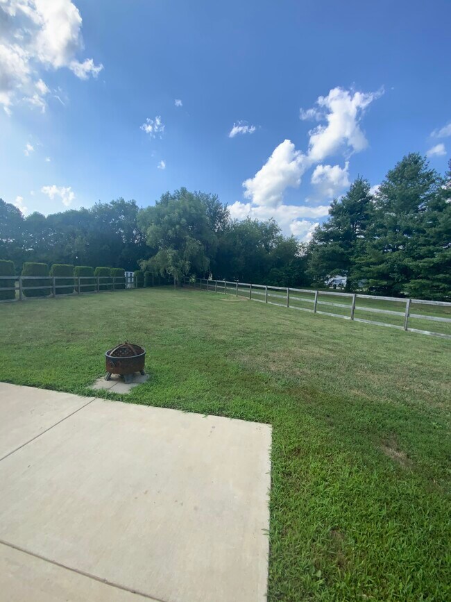 Backyard - 996 Tamara Dr