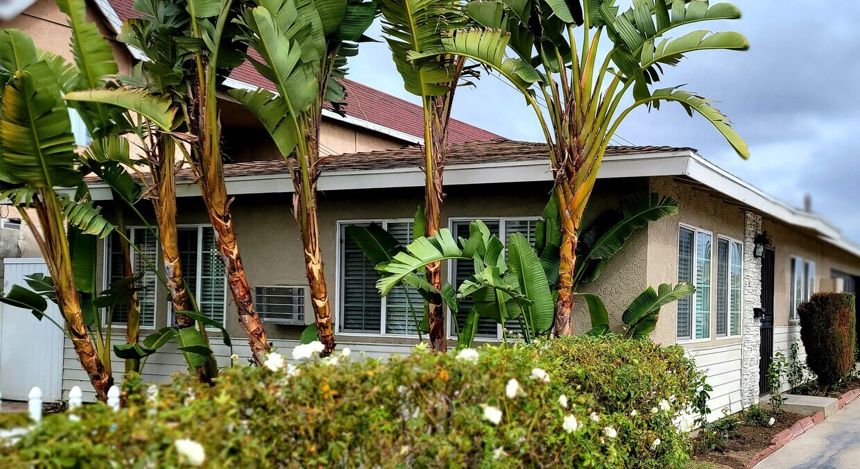 Primary Photo - 8404 Walker St