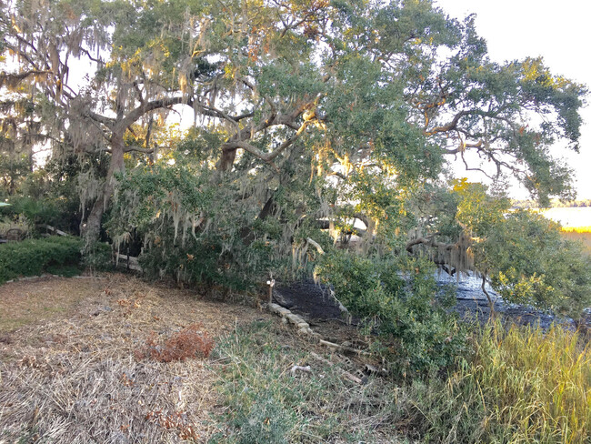 Foto del edificio - 2427 Pigeon Point Rd