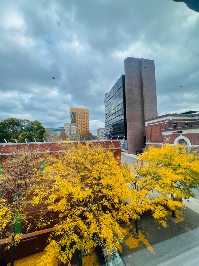 Building Photo - 11 Tetlow