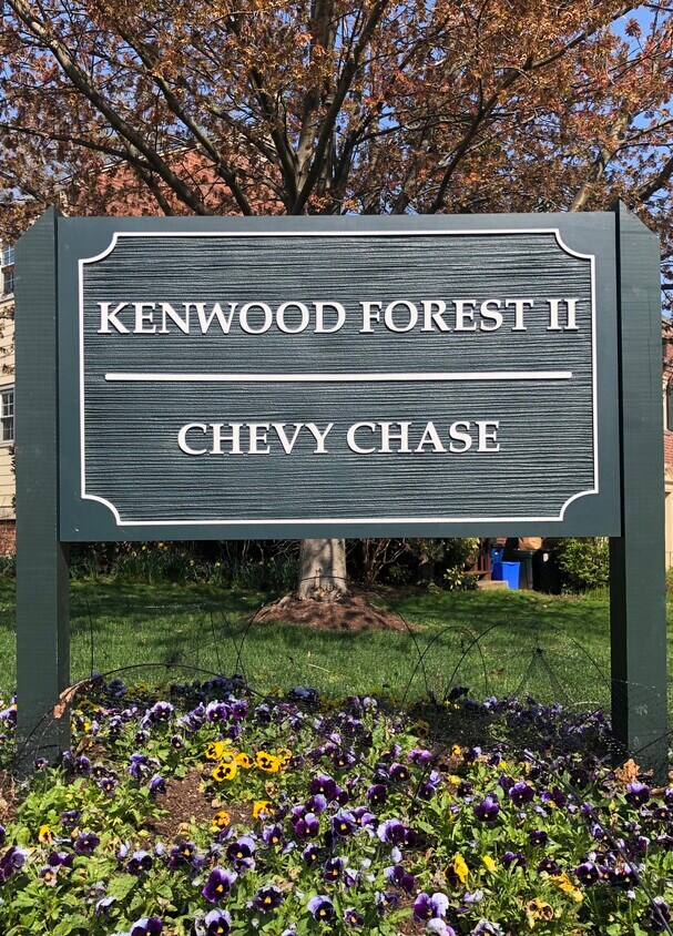 6723 Hillandale Rd, Bethesda, MD 20815 Townhome Rentals in Bethesda MD