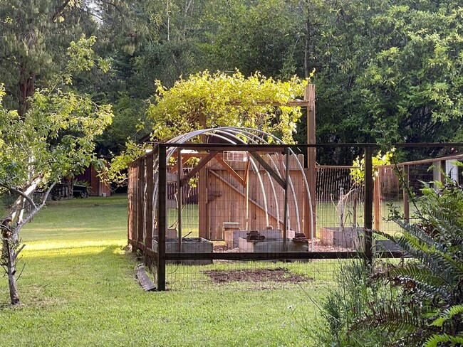 Building Photo - Private 3-Bedroom Home on 3 Acres