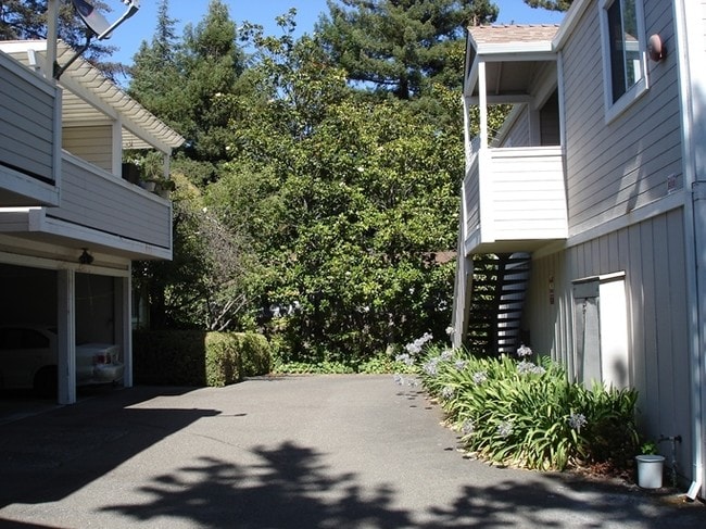 Building Photo - 487-489 Sonoma Ave