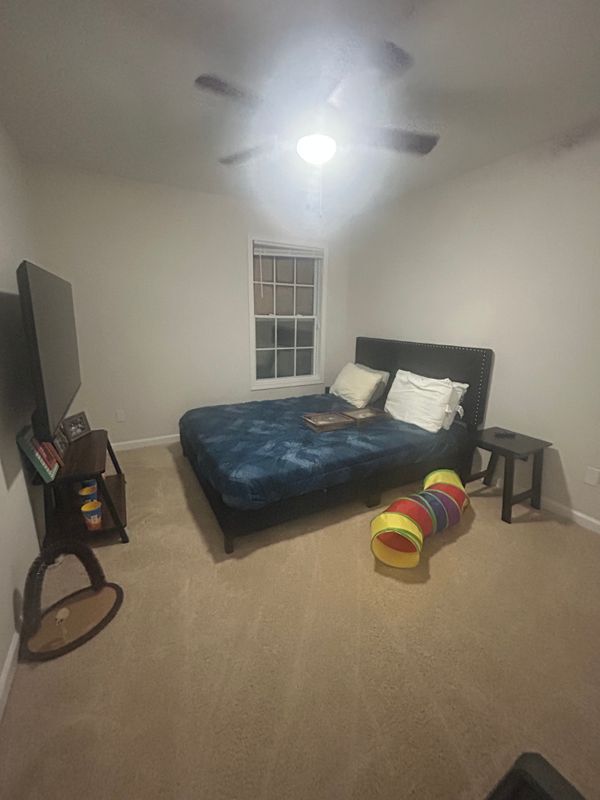 Foto del edificio - 251 Margaret St