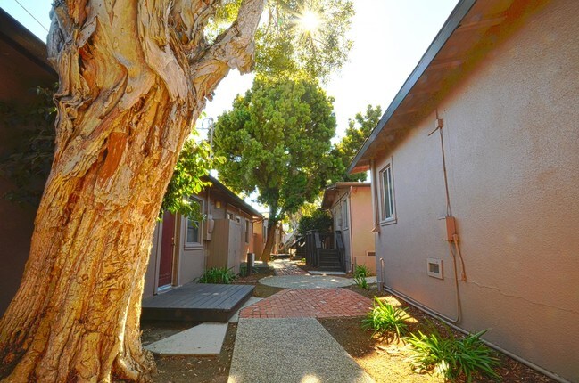 The Sands Apartments Apartments - Santa Cruz, CA | Apartments.com