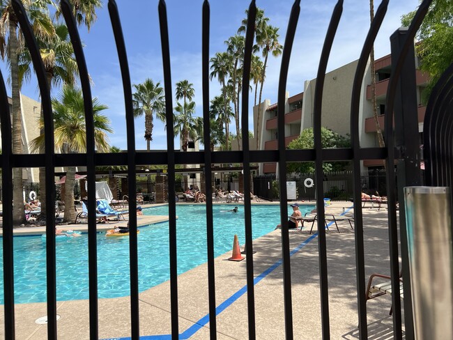 heated pool - 7625 E Camelback Rd