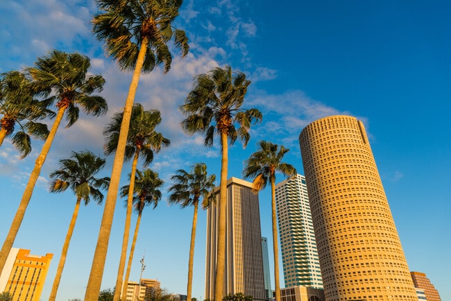 Top 5 Neighborhoods for Renting a House in Tampa