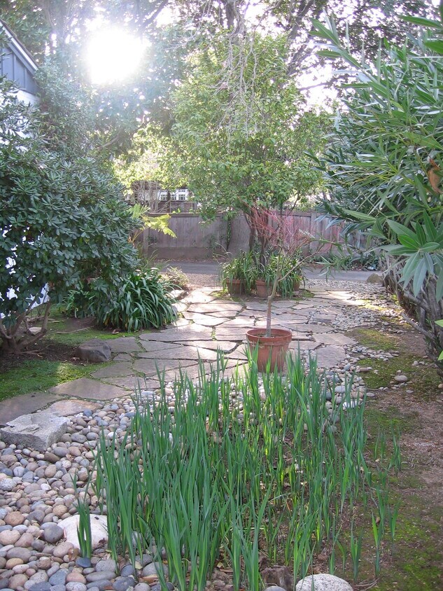 Foto del edificio - 82 Hillview Ave