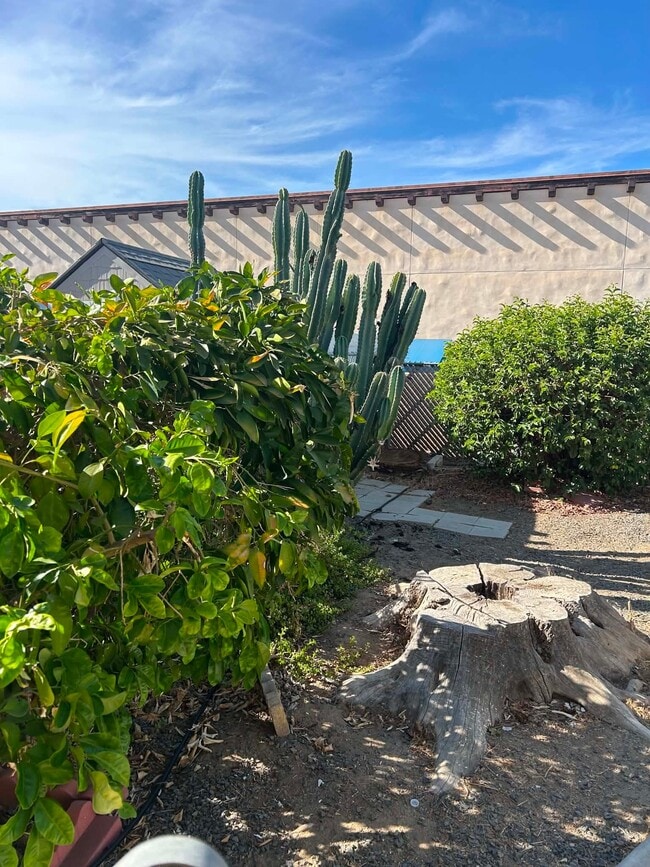 Building Photo - 26030 San Quintin Rd