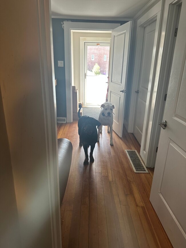 Foto del edificio - 63 Haddon Ave