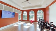 This dedicated fitness studio is thoughtfully designed to inspire an active lifestyle, combining striking aesthetics with practical functionality. The room's most distinctive feature is its bold terracotta-orange walls, which create an energetic atmosphere complemented by crisp white crown molding, baseboards, and a coffered tray ceiling. A ceiling fan centered within the tray ceiling ensures comfortable air circulation during workouts.

Natural light pours generously into the space through a series of tall, arched windows with fanlight transoms, framing views of lush greenery outside. The hardwood flooring throughout provides a warm, durable surface well-suited for a variety of fitness activities. A wall-mounted Wellbeats smart fitness system serves as a central feature, enabling on-demand virtual workout classes directly in the studio.

The room accommodates a row of stationary cycling bikes, positioning it as a dedicated spin and cardio space. Stability balls and additional fitness accessories are also present. Glass-paneled doors connect this studio to an adjacent, larger fitness facility, expanding the overall exercise options available. Textured wall panels above the TV add an architectural detail that softens the room's energetic color palette.