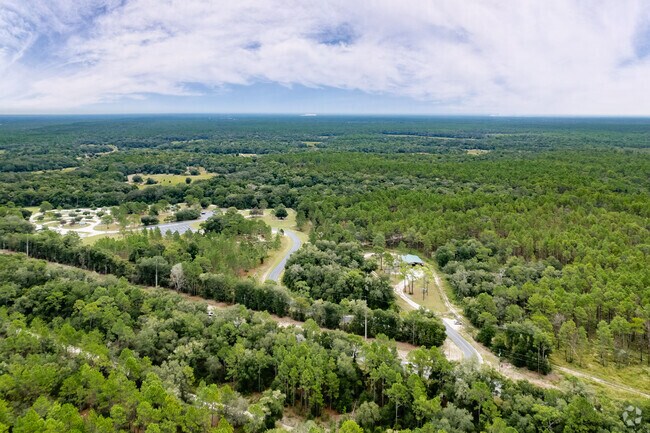 A beautiful aerial of Ross Prairie State Forest in Marion County.