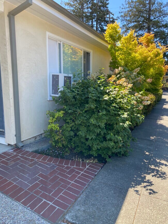 Building Photo - 409 Del Medio Ave