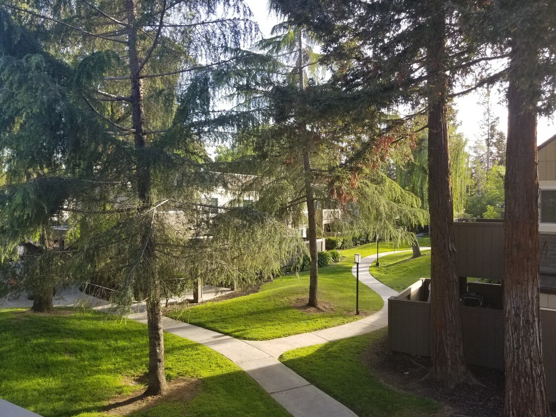 Beautiful Gated property 1 room for rent - 2390 Lucretia Ave