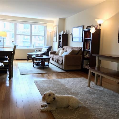 Primary Photo - 157 W 66th St
