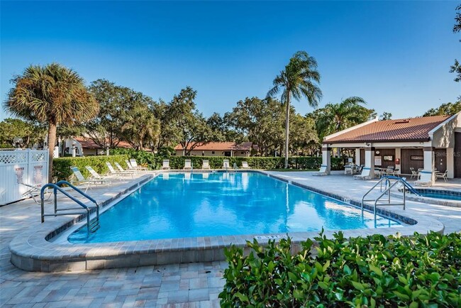 Heated Pool - 3505 Tarpon Woods Blvd