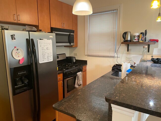 Foto del edificio - 1738 W Altgeld St