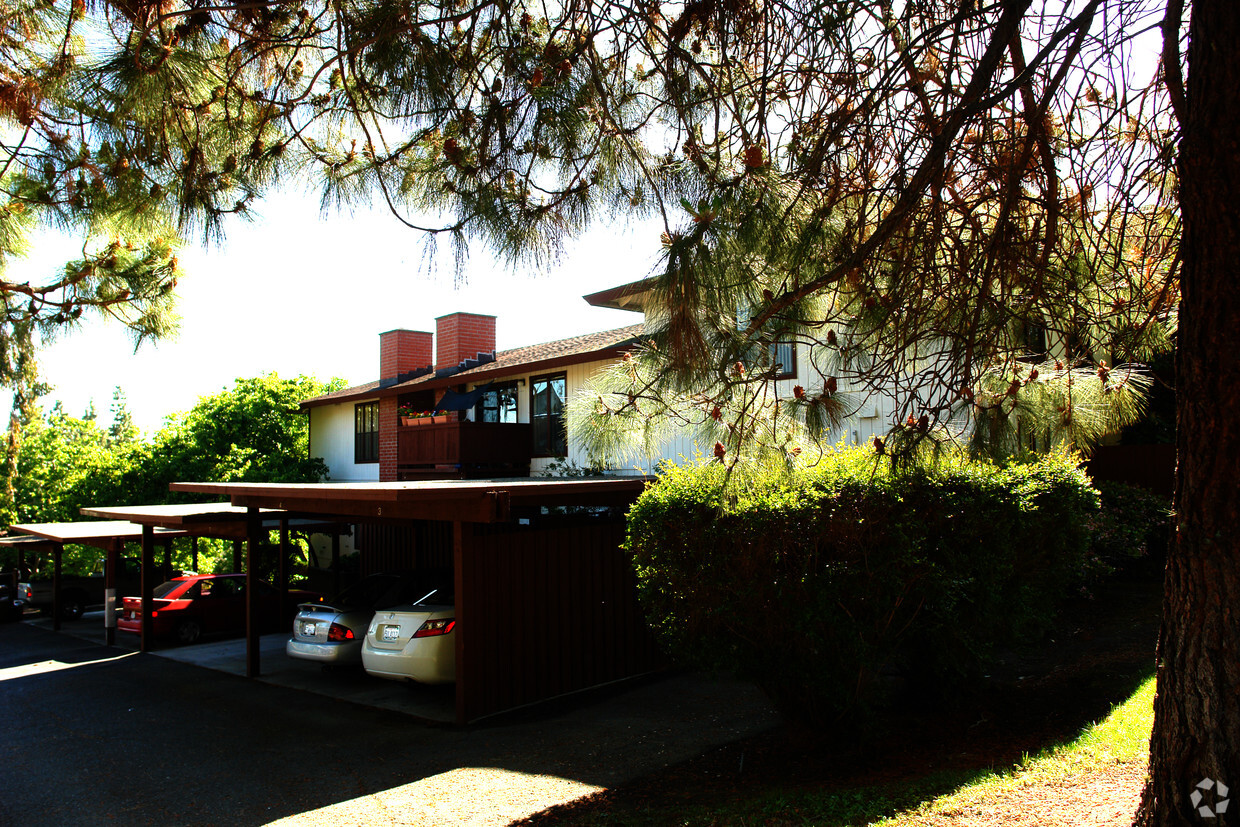 Primary Photo - 319 Camelback Ct