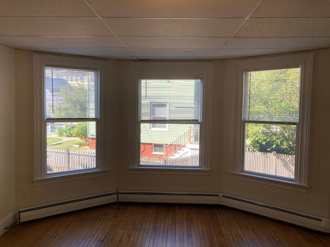 Primary Photo - 259 Woodford St