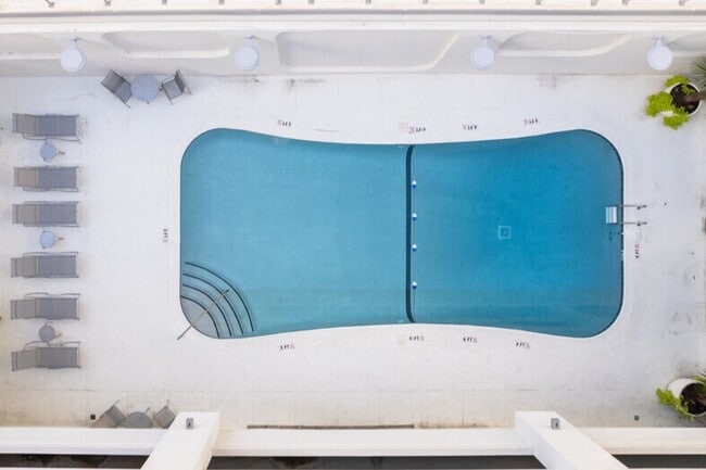 Pool - The Palms on Main