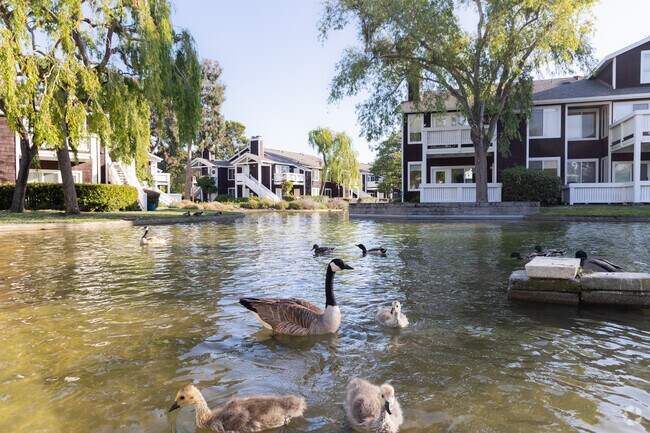 Marina Bay is blessed with frequent sightings of wildlife.