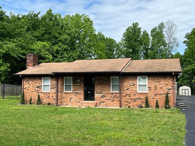 Spacious - Spacious House