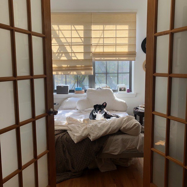 Foto principal - 564 Sterling Pl