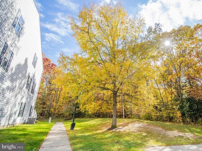 Building Photo - 40 Amberstone Ct