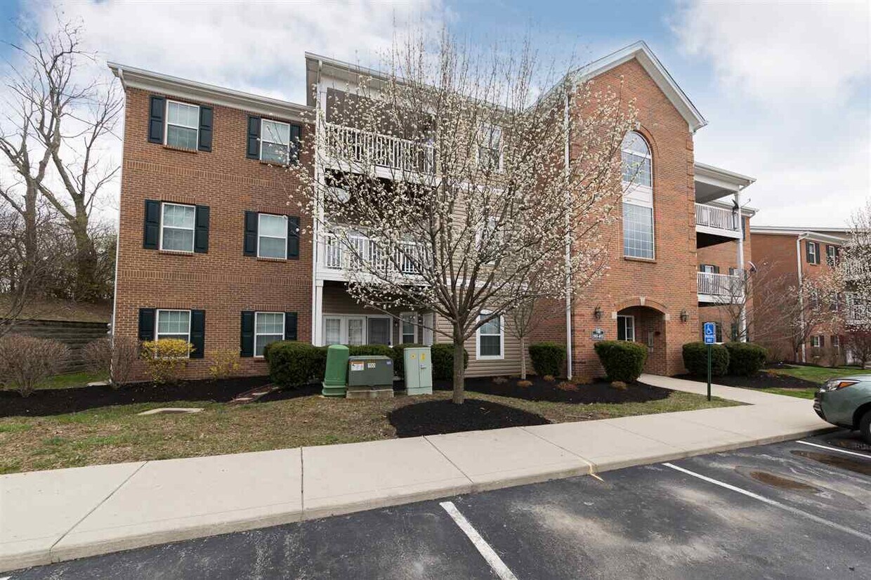 Foto principal - 613 Ivy Ridge Dr