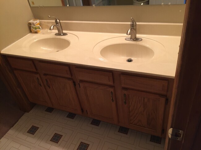 Master sinks - 582 W Hoewisher Rd