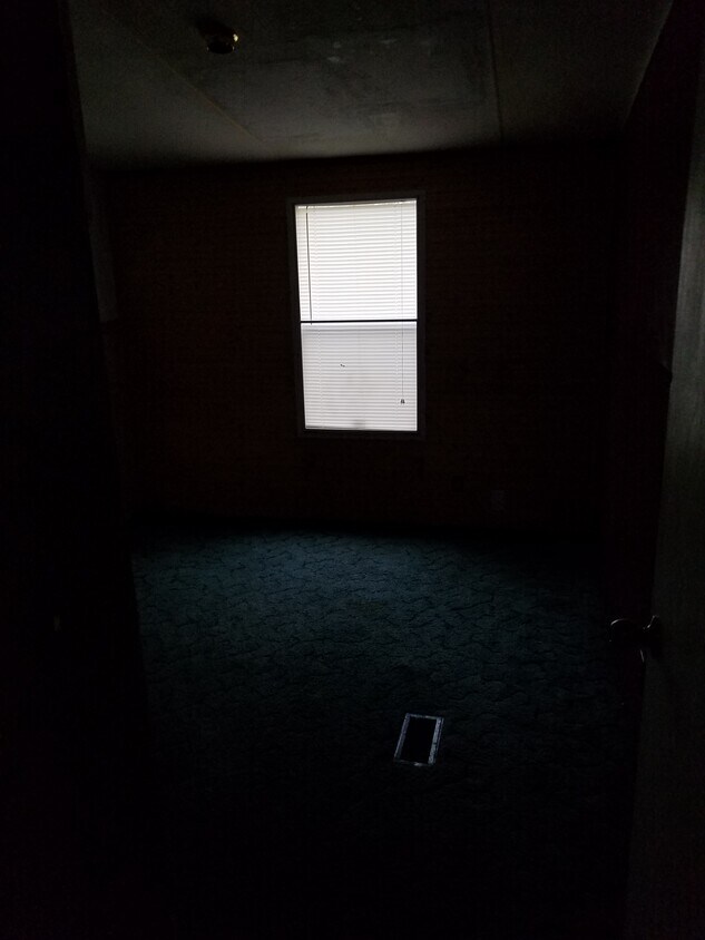 20331 Mountaindale Dr, Cypress, TX 77433 House for Rent in Cypress