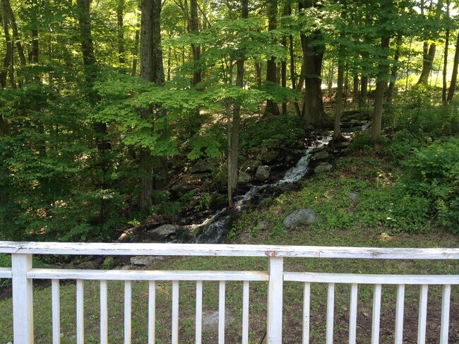 Woods and waterfall as seen from deck. - 2186 Greenville Tpke