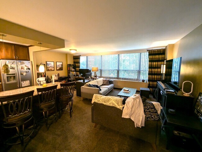 Building Photo - Lakeview Condo on Lake Shore Drive