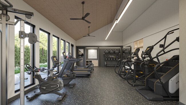 Fitness Center | Kinline - Kinline