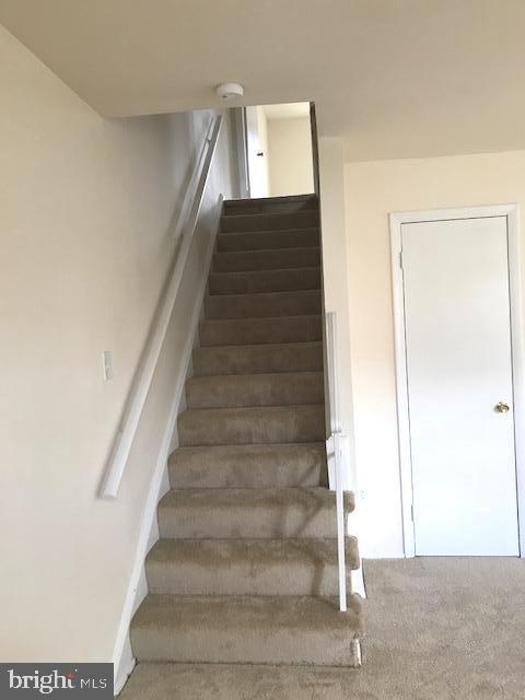 Building Photo - 3519 Buffalo Ct